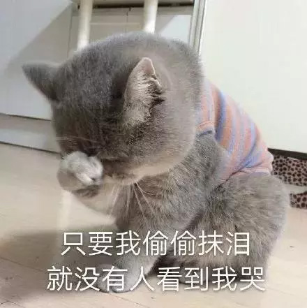 正式官宣！再見了，醫(yī)?？?  width=